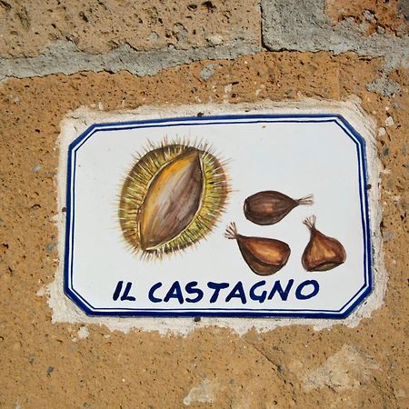 Agriturismo Cerqueto Acquapendente Pokój zdjęcie