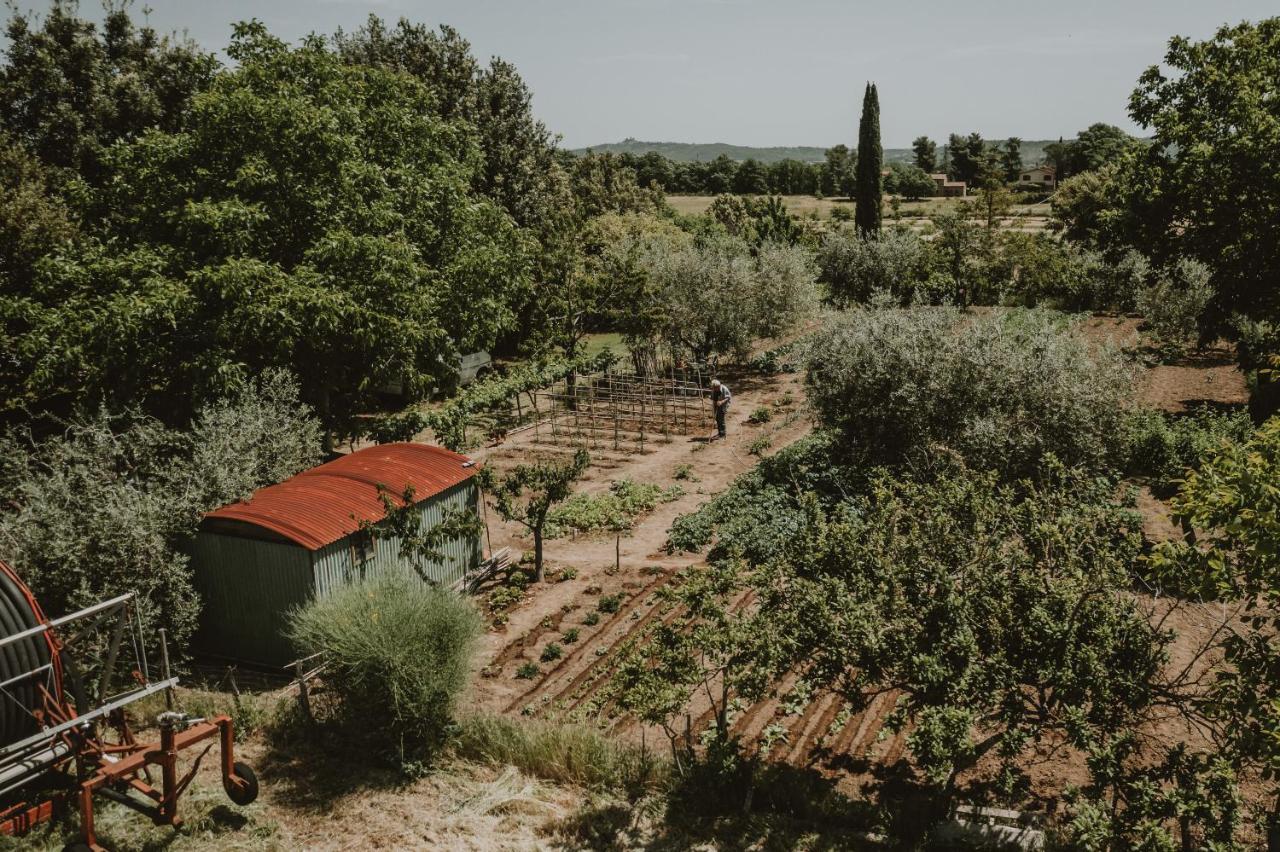 Agriturismo Cerqueto Acquapendente Zewnętrze zdjęcie