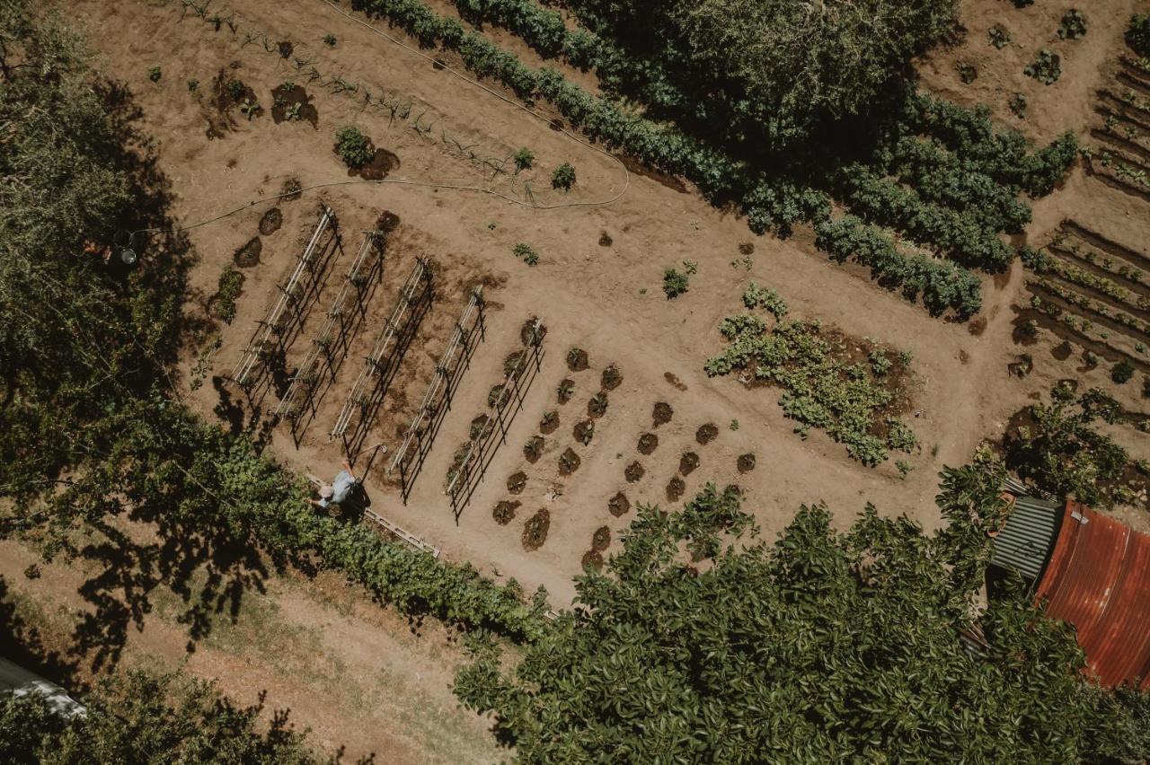 Agriturismo Cerqueto Acquapendente Zewnętrze zdjęcie